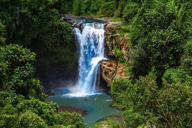 Best of Ubud - All Inclusive - Why this private Ubud day works