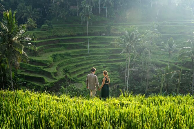 Best of Ubud: All-Inclusive Private Tour with Local Guide - A full Ubud day without the transport puzzle