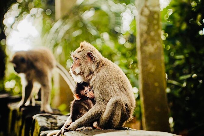 Best of Ubud: All-Inclusive Private Tour with Local Guide - Lunch at Pangkon Bali Resto and Agrotourism