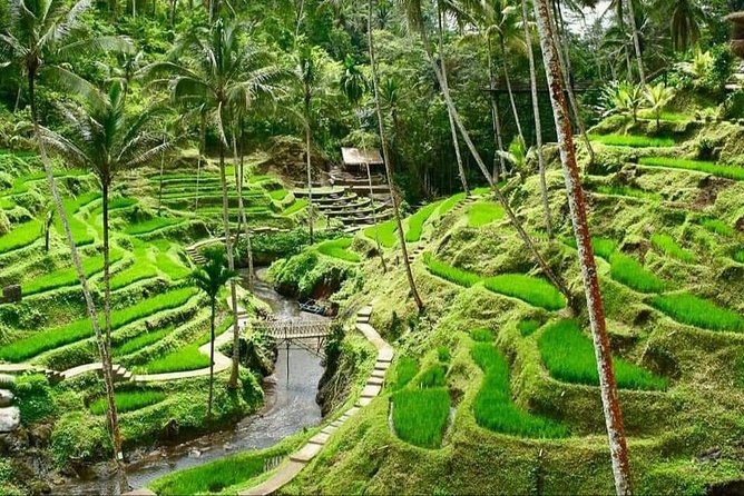 Best of Ubud Full Day Private Guided Tour - Tampaksiring Coffee and a Short Village Break