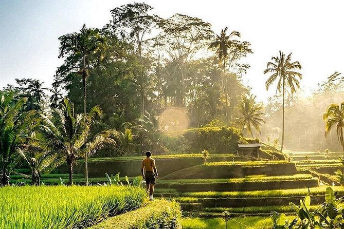 Best of Ubud - Full day Tour + FREE WI-FI - What this Ubud day tour is really designed to do
