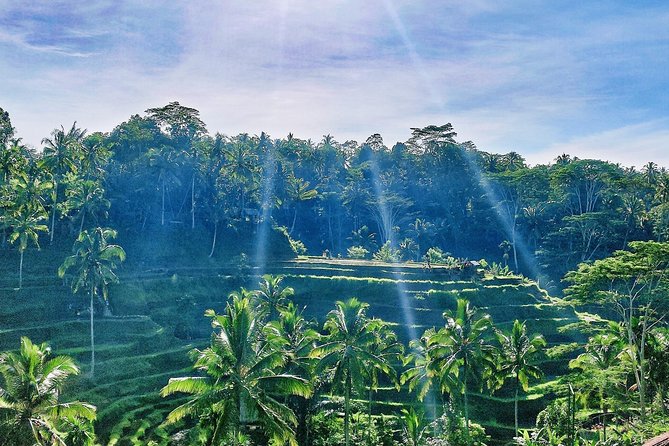 Best of Ubud - Full day Tour + FREE WI-FI - Leaving Seminyak for Tegenungan Waterfall