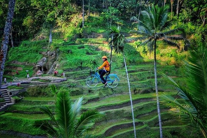 Best of Ubud - Full day Tour + FREE WI-FI - Celuk Village and Bali’s silver tradition