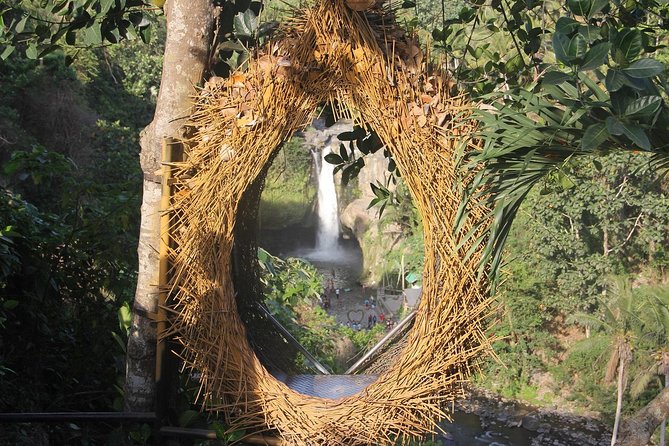 Best of Ubud - Full day Tour + FREE WI-FI - A practical look at transport, timing, and comfort