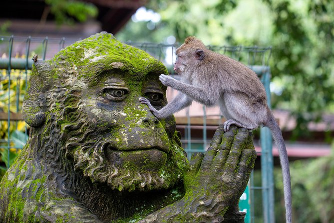 Best of Ubud Full-Day Tour with Jungle Swing - Starting under the trees at Sacred Monkey Forest