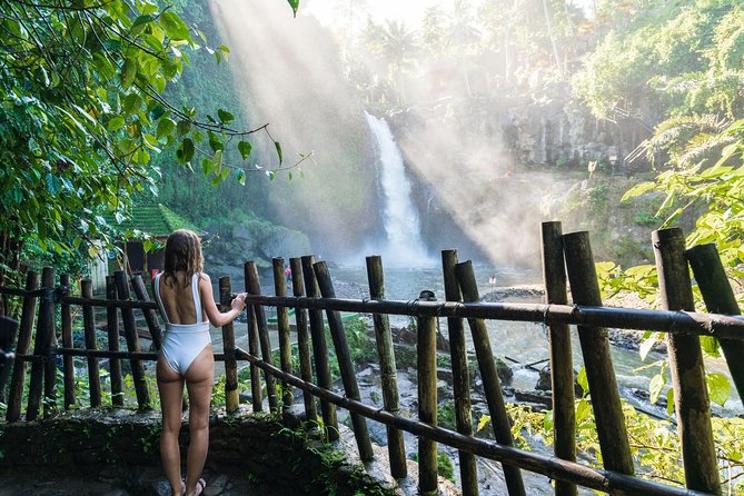 Best of Ubud Full-Day Tour with Jungle Swing - Cooling off at Tegenungan Waterfall