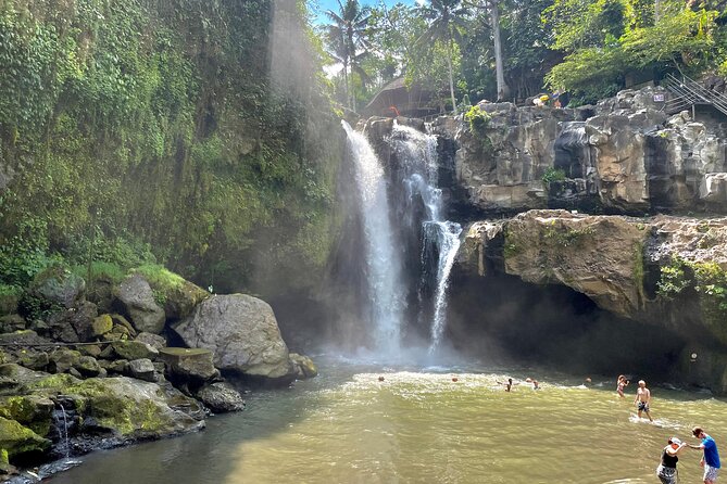 Best Of Ubud Half Day Private Guided Tour - What this private Ubud tour is really like