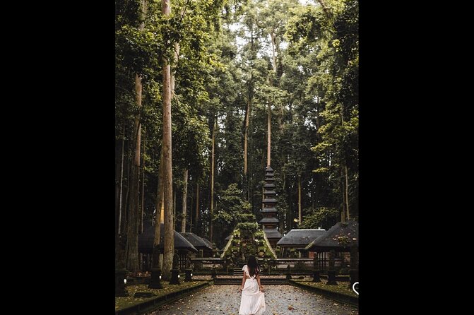Best of Ubud: Jungle, Temples & Swing - Tegalalang Rice Terrace and the Subak system