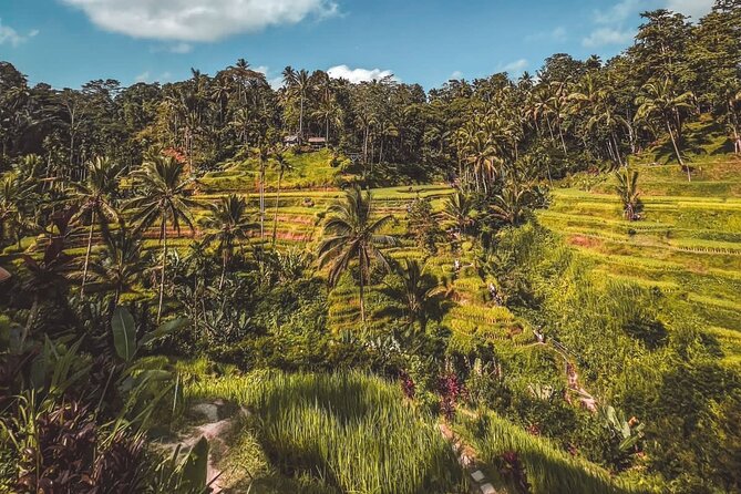 Best Of Ubud Private Day Tour With Local Guide - The real challenge is Bali traffic