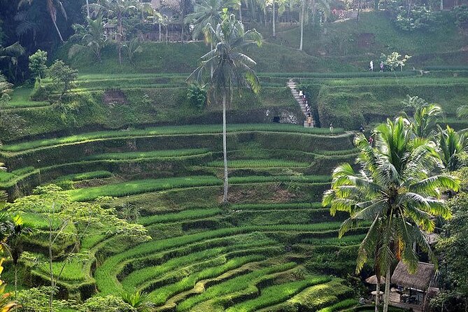 Best Of Ubud Private Day Tour With Local Guide - Batuan Temple: a compact look at Balinese worship