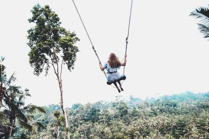Best of Ubud Private Tour with Jungle Swing Experience - A full day built around Ubud’s big sights