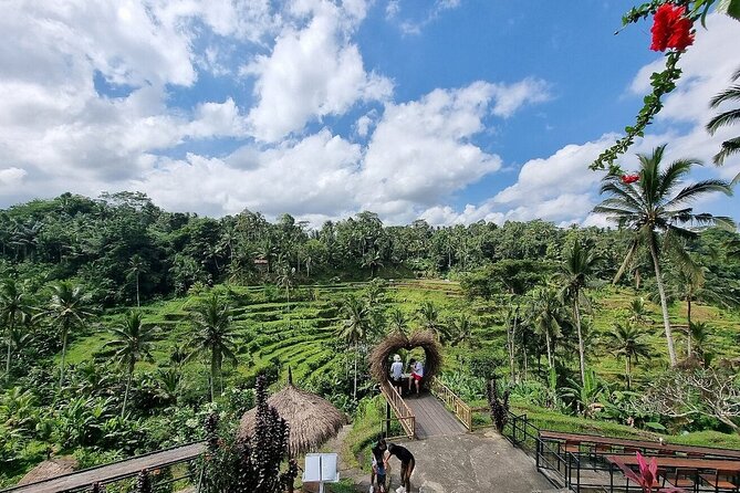 Best of Ubud Private Tour with Jungle Swing Experience - Tegenungan Waterfall for scenery and a possible swim