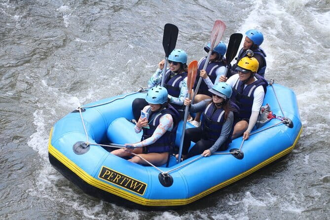 Best Of Ubud Rafting And Swing All Inclusive - Is $48 a fair price?