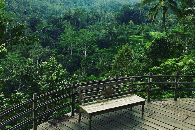 Best of Ubud: Rice Terrace, Temple and Waterfall Private Tour - Sacred Monkey Forest and its three temples