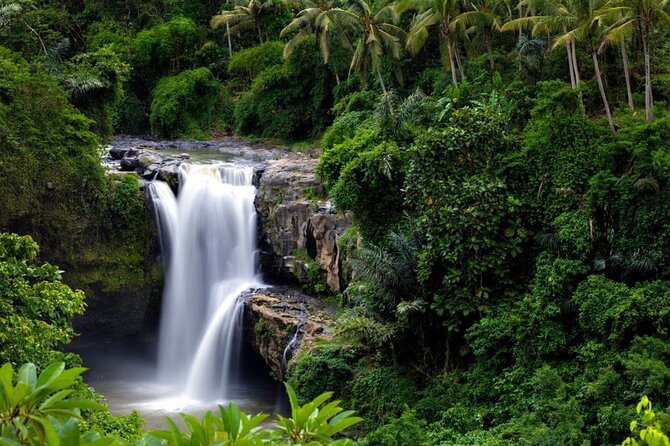 Best of Ubud: Rice Terrace, Temple and Waterfall Private Tour - Campuhan Ridge Walk, a gentler finish
