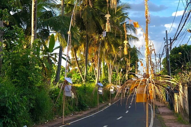 Best Of Ubud Scenic Full Day Private Guided Tour - Why this Ubud day trip works for first-time visitors