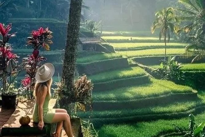 Best of Ubud Sightseeing Private All Inclusive Tour - A full Ubud day from Kuta, with very little planning