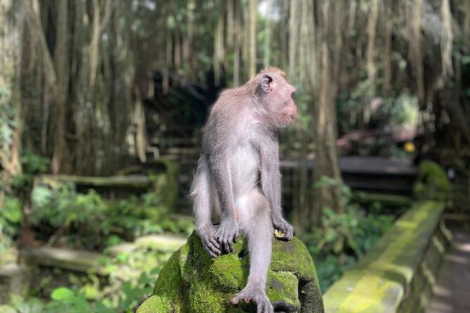Best of Ubud Sightseeing Private All Inclusive Tour - Tegenungan Waterfall, the day’s refreshing finish