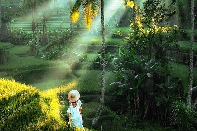 Best of Ubud Tour: Monkey Forest, Rice Terraces & Waterfall - How good is the $25 value?
