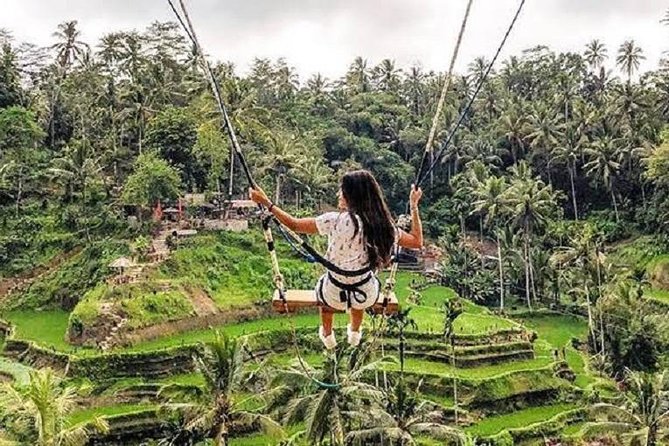 Best of Ubud Tour with Jungle Swing Private and All Inclusive - Private transport keeps a packed day manageable
