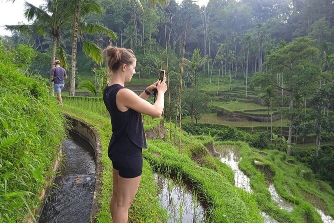 Best of Ubud - Ubud Tour Popular - All Inclusive - Tegenungan Waterfall for a Change of Pace