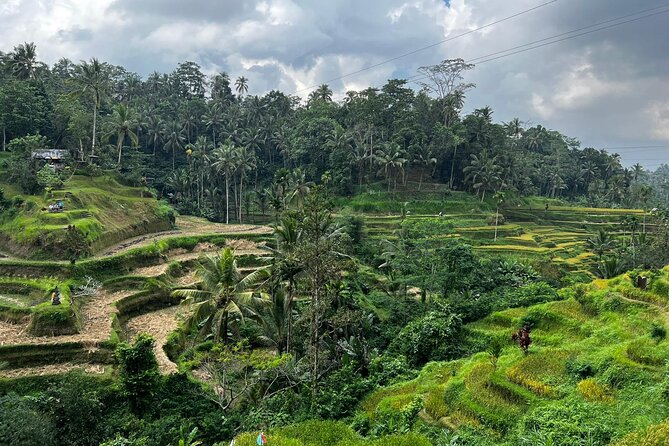 Best of Ubud - Ubud Tour Popular - All Inclusive - Puseh Batuan Temple and Village Craft