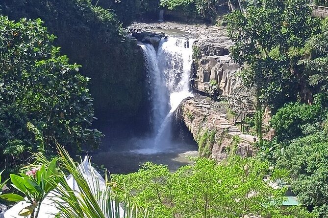 Best of Ubud - Ubud Tour Popular - All Inclusive - What the $52 Price Really Covers