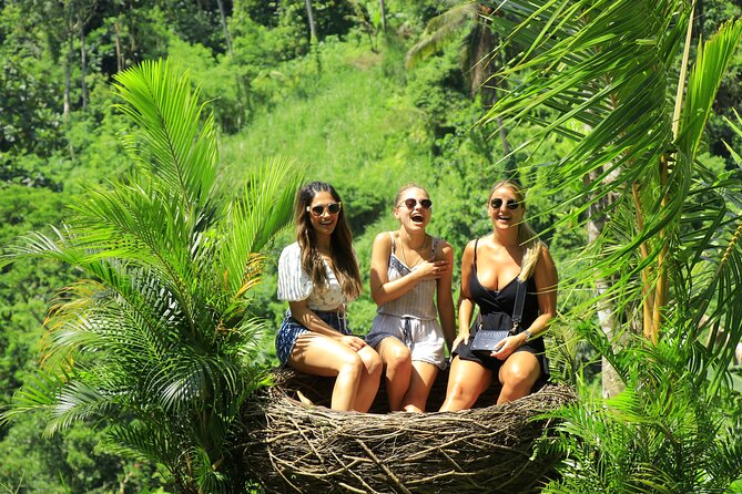 Best of Ubud Village Private Tour with Jungle Swing All Inclusive - Why the private driver-guide matters