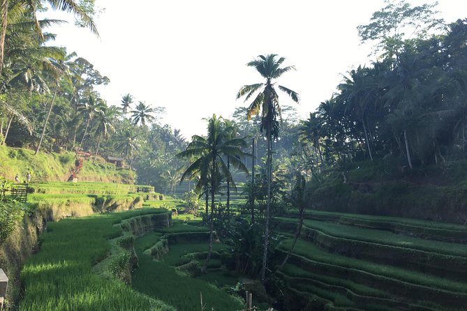 Best of Ubud Waterfalls, Tegalalang Rice Terrace and Swing Tour - Tukad Cepung and its enclosed light