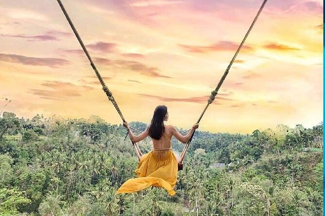 Best of Ubud Waterfalls, Tegalalang Rice Terrace and Swing Tour - Why the private car matters at $29