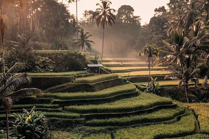 Best of Ubud Waterfalls, Tegalalang Rice Terrace and Swing Tour - Kanto Lampo, stepped rocks and a short walk