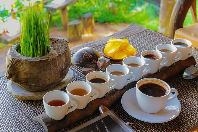 Best of Ubud: Waterfalls, Temple & Rice Terraces Private Day Tour - OKA Agriculture Bali and the coffee tasting