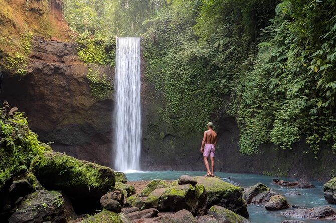 Best of Ubud: Waterfalls, Temple & Rice Terraces Private Day Tour - Tegalalang Rice Terrace: the day’s big finish