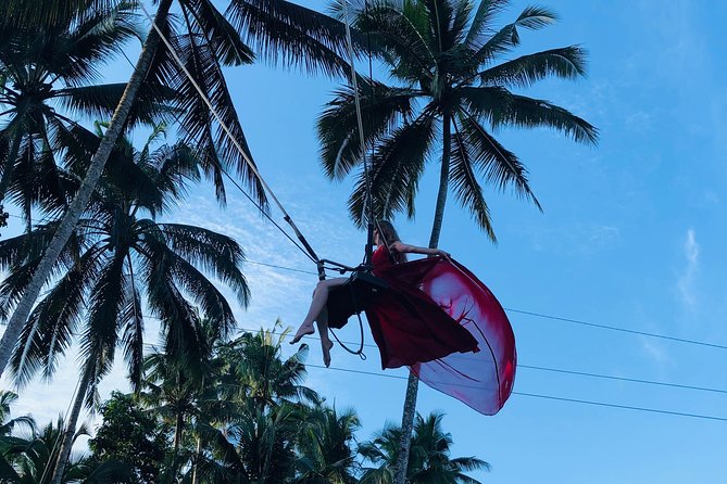 Best of Ubud with Jungle Swing Experience - Gunung Kawi Sebatu, a spring temple with clear pools