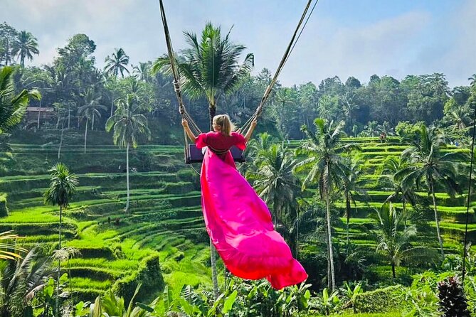 Best of Ubud with Jungle Swing Experience - Tegalalang Rice Terrace and Bali’s water system