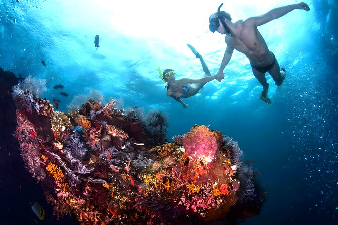 Best Snorkeling Activity in Blue Lagoon Beach Bali - The Drive from Seminyak or Ubud to Padangbai