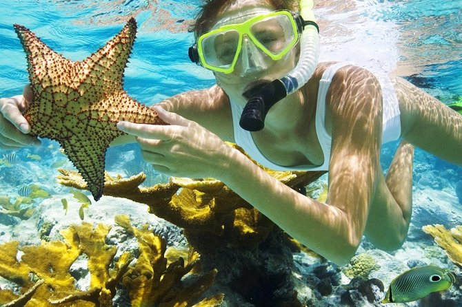 Best Snorkeling Trip at Blue Lagoon Bali - From Ubud to Padang Bai Fishing Village
