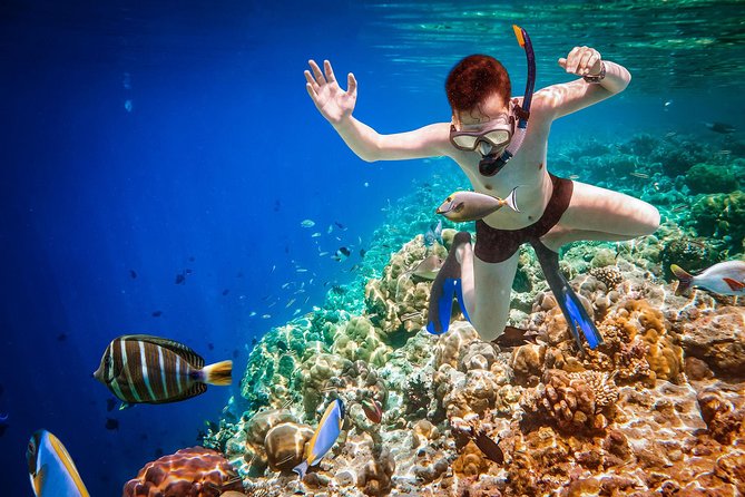 Best Snorkeling Trip at Blue Lagoon Bali - What the boat and guide add to the day