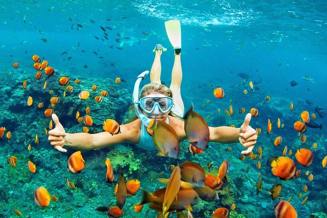 Best Snorkeling Trip at Blue Lagoon Bali - Lunch after snorkeling
