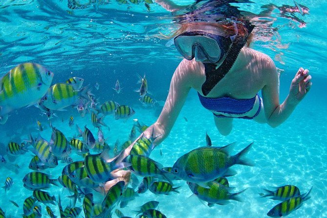 Best Snorkeling Trip at Blue Lagoon Bali - Is $39.39 good value?