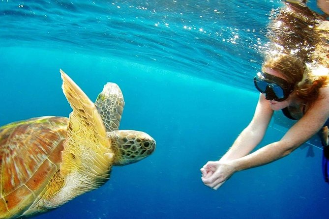 Best Snorkeling Trip at Blue Lagoon Bali - Blue Lagoon Beach: an easy first look at Bali’s reefs