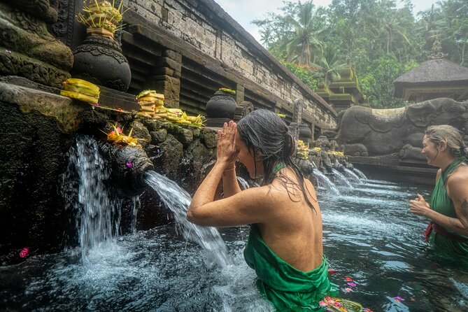Best Ubud Tour Private Tour All Inclusive Package - A private route from Kuta into Ubud