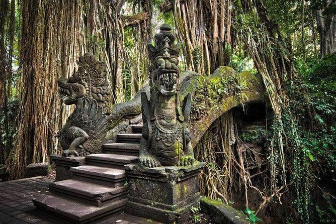 Best Ubud Tours -All inclusive with private driver - One private day for Ubud’s scattered sights
