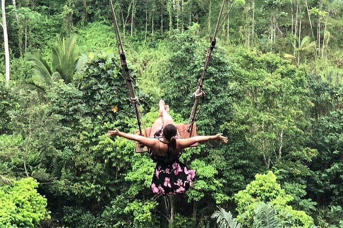 Best Ubud Tours -All inclusive with private driver - Tegalalang Rice Terrace and the opening views