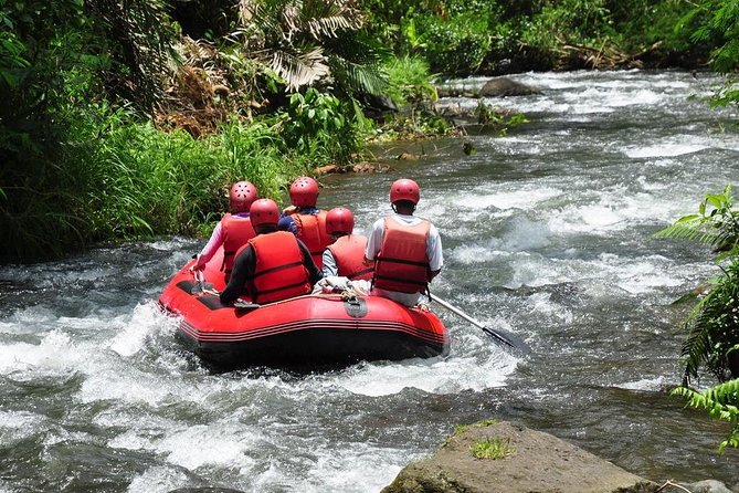 Best White Water Rafting in Bali - Jungle scenery and the waterfall stop
