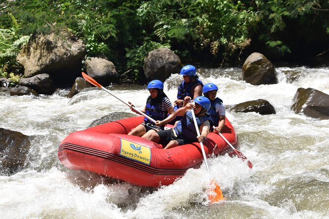 Best White Water Rafting & Lunch, Ubud - Who should book this Ayung rafting trip