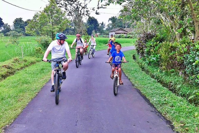Bike ride in the rice fields, Bali countryside - The school visit and the question of timing