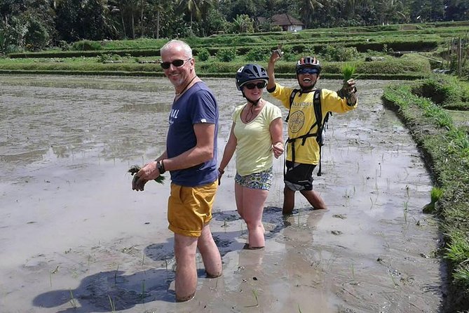 Bike ride in the rice fields, Bali countryside - What the $78 price buys you