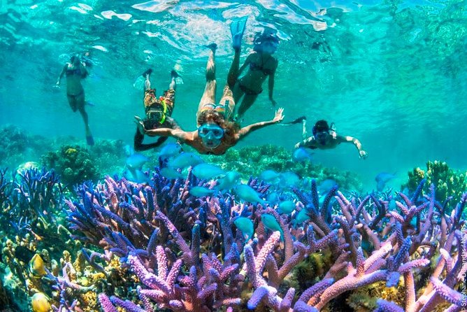 Bloo Lagoon Snorkeling East Bali Includes Transportation & Lunch - Reaching Padangbai from Ubud and south Bali