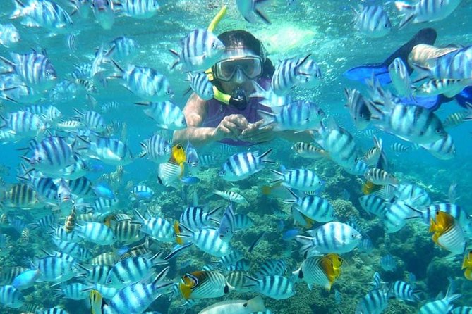 Bloo Lagoon Snorkeling East Bali Includes Transportation & Lunch - Lunch, showers, and the useful pause after snorkeling